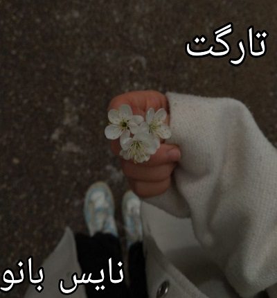 تارگت