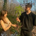 ماه لیلی