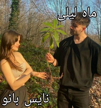 ماه لیلی