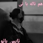 هم ناله با نی