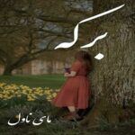 برکه