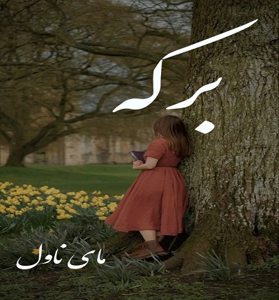 برکه