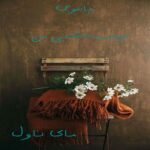 جاسوس دوست داشتنی من