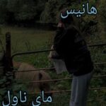 هانیس