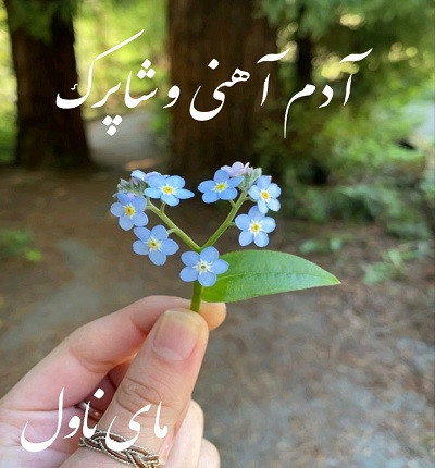 آدم آهنی و شاپرک