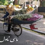 دودمان قو