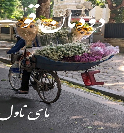 دودمان قو