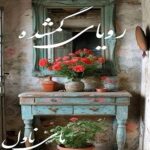 رویای گمشده