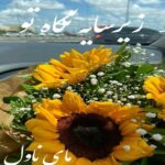 زیر سایه نگاه تو