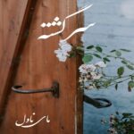 سرگشته