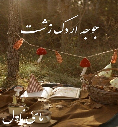 جوجه اردک زشت