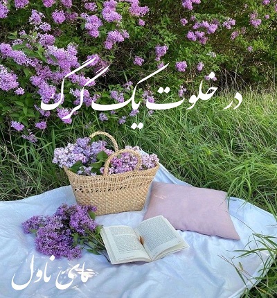 دانلود رمان در خلوت یک گرگ از فاطمه لطفی با لینک مستقیم