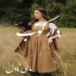 دارکوب
