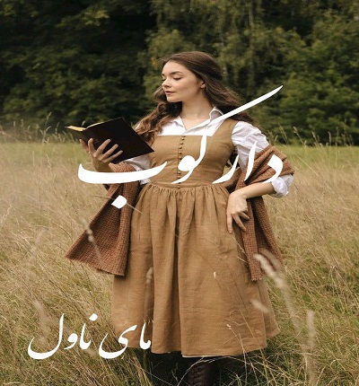 دارکوب