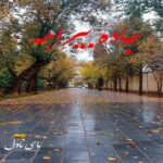 جاده بیراهه