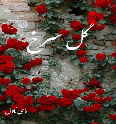گل سرخ