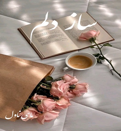 ساز دلم