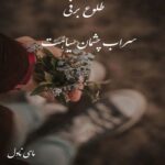 طلوع برفی